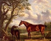 unknow artist Classical hunting fox, Equestrian and Beautiful Horses, 224. oil on canvas